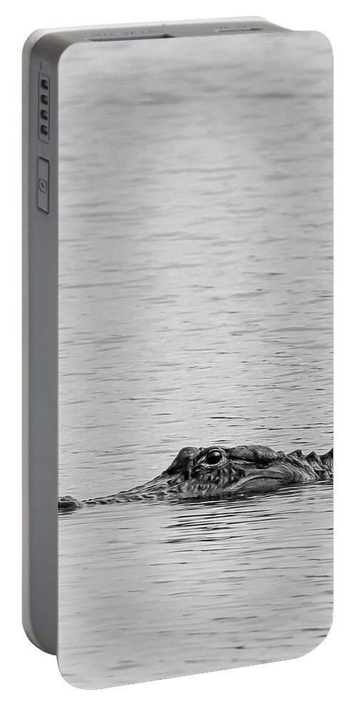 Alligator Portable Battery Charger featuring the photograph American Alligator in BW by Bryan Williams