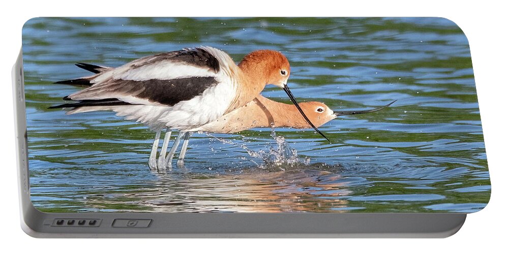 American Avocets Portable Battery Charger featuring the photograph American Avocets 3155-040822-2 by Tam Ryan