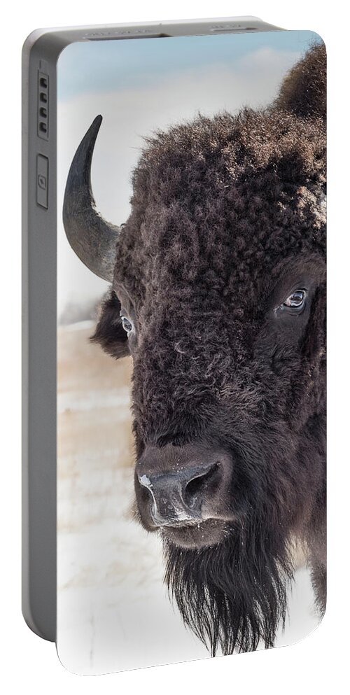 Bison Portable Battery Charger featuring the photograph American Bison by Linda Villers