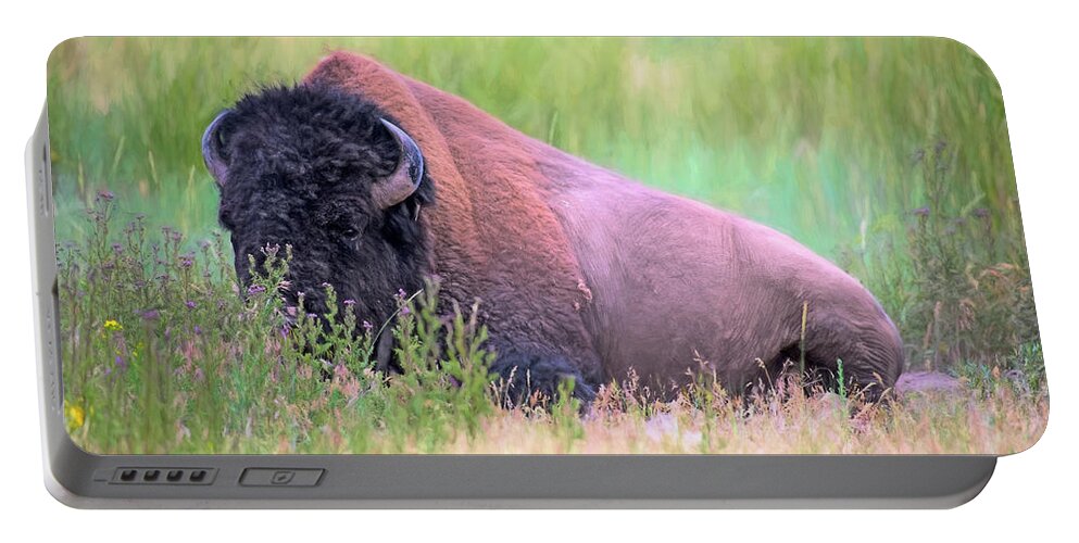 Fine Art Portable Battery Charger featuring the photograph American Buffalo by Greg Sigrist