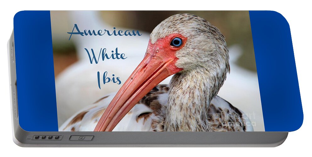 American White Ibis Portable Battery Charger featuring the photograph American White Ibis by Joanne Carey