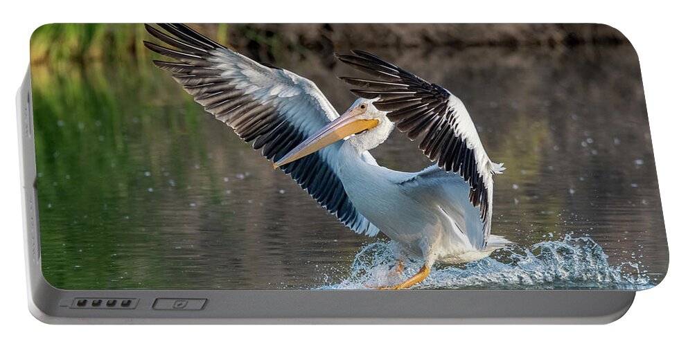 American White Pelican Portable Battery Charger featuring the photograph American White Pelican 0013-102221-2 by Tam Ryan