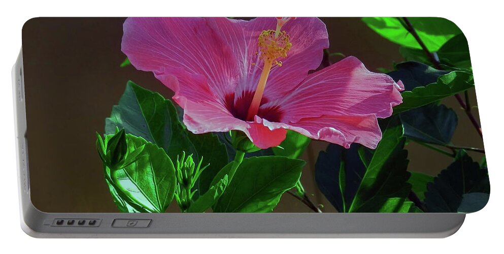Hibiscus Portable Battery Charger featuring the photograph An Explosion of Pink by Laura Putman