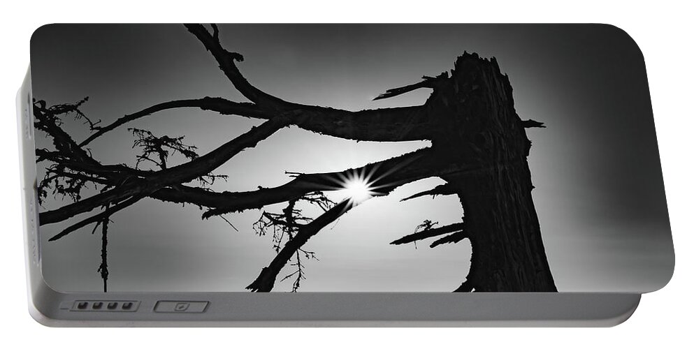 Black And White Portable Battery Charger featuring the photograph Ancient Pine in the Alps by Stan Weyler