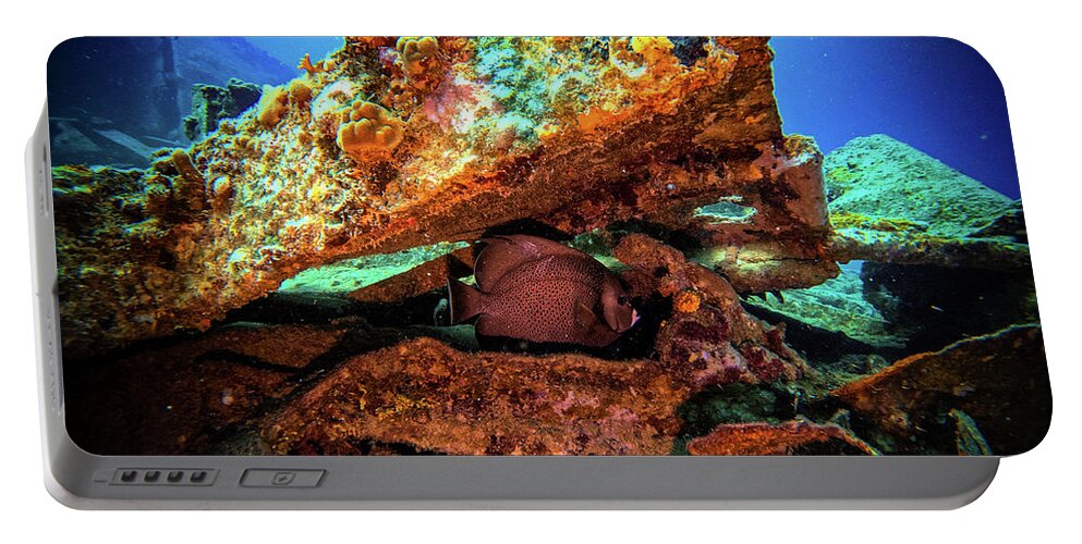 Underwater Portable Battery Charger featuring the photograph Angel Fish by Kip Vidrine