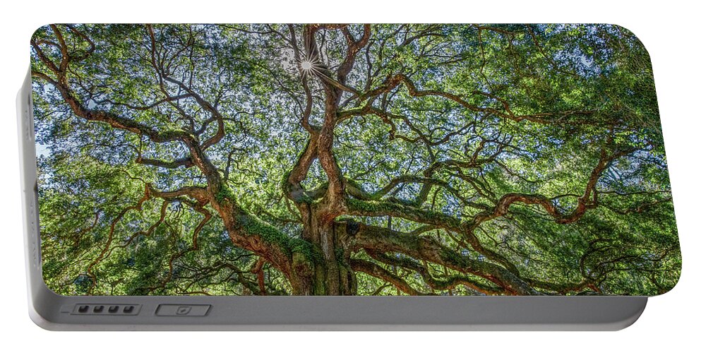Charleston Portable Battery Charger featuring the photograph Angel Oak Magic by Marcy Wielfaert