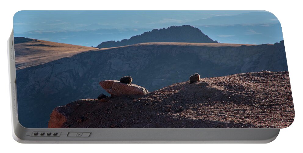 Mountain Life Portable Battery Charger featuring the photograph Animals On A Mountain by Nathan Wasylewski