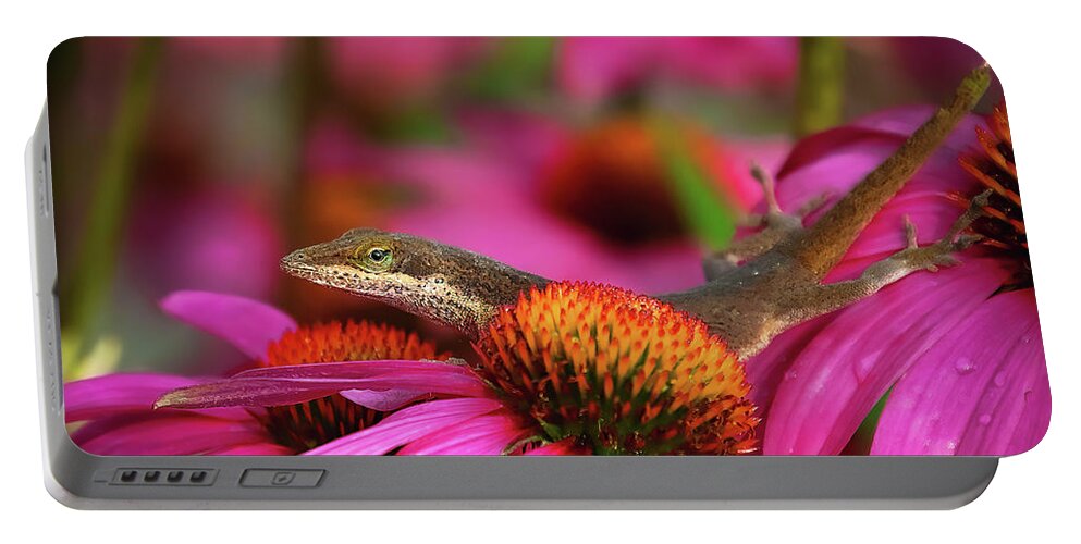 Pink Portable Battery Charger featuring the photograph Anole Lizard in Pinks by Pam Rendall