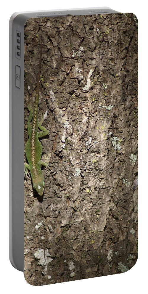  Portable Battery Charger featuring the photograph Anolis Carolinensis by Heather E Harman