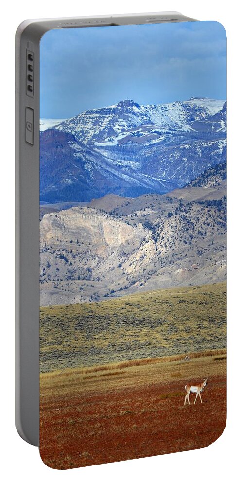 Western Art Portable Battery Charger featuring the photograph Antelope #2 by Alden White Ballard