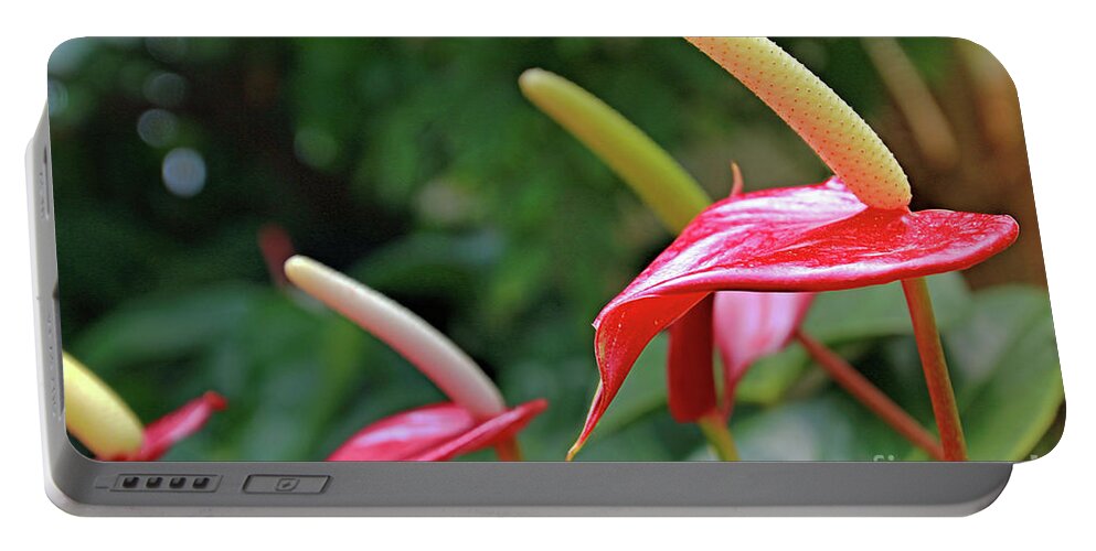 Flora Portable Battery Charger featuring the photograph Anthurium by Tom Watkins PVminer pixs
