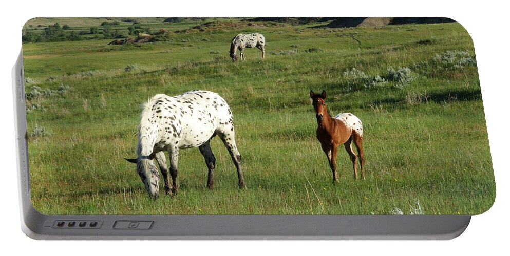Horse Portable Battery Charger featuring the photograph Field of Dreams by Katie Keenan