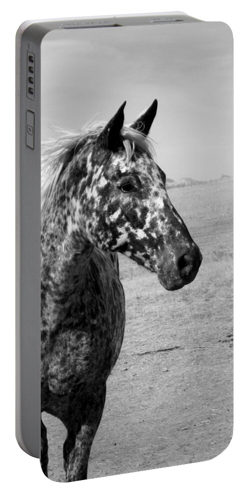Appaloosa Portable Battery Charger featuring the photograph Appaloosa Mare by Katie Keenan