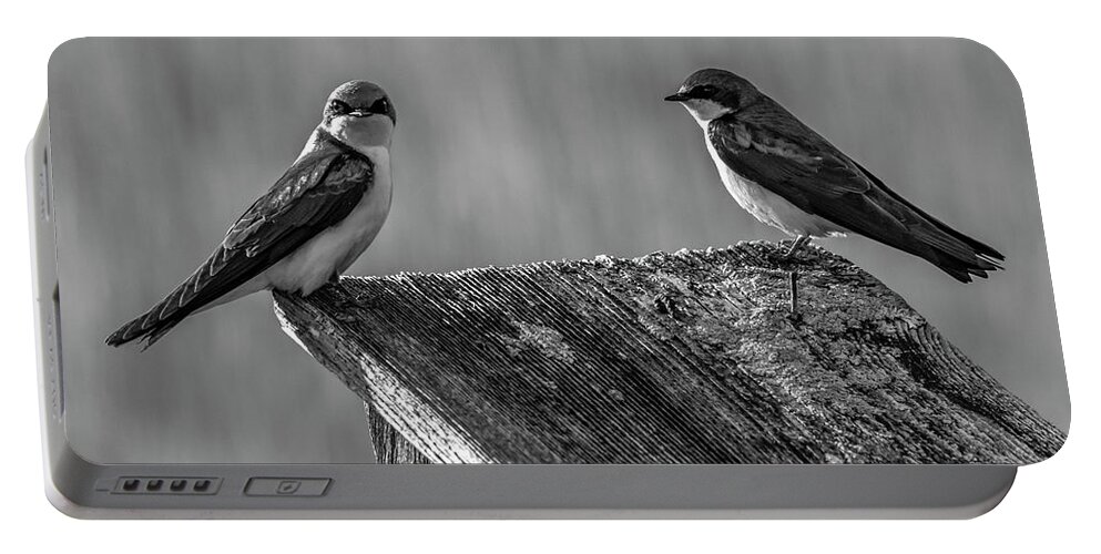 Avian Portable Battery Charger featuring the photograph Are You Kidding Me by Cathy Kovarik
