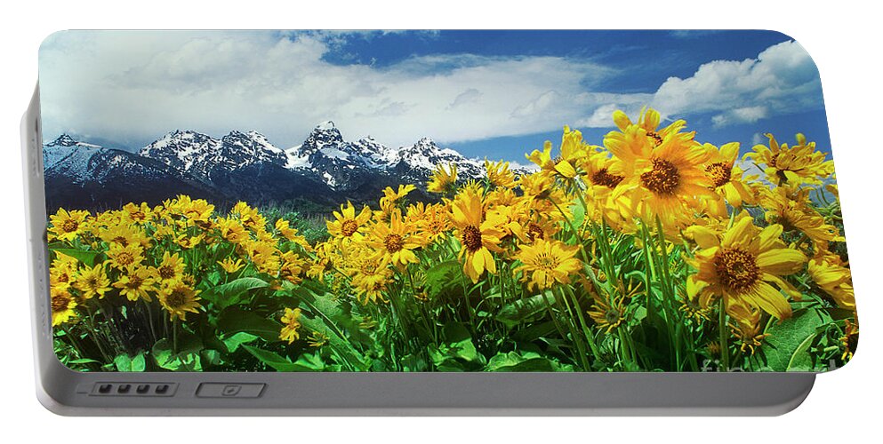 Dave Welling Portable Battery Charger featuring the photograph Arrowleaf Balsamroot Grand Tetons National Park Wyoming by Dave Welling