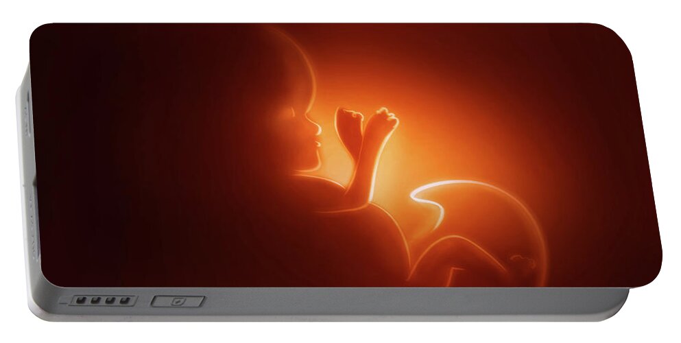 Baby Portable Battery Charger featuring the digital art Art - The Beat of Life by Matthias Zegveld