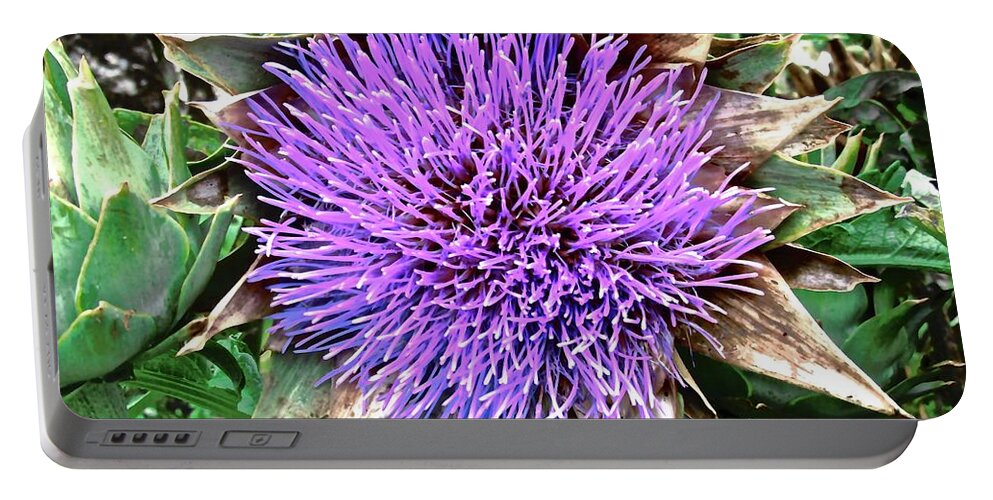 Flower Portable Battery Charger featuring the photograph Artichoke flower by Stephanie Moore