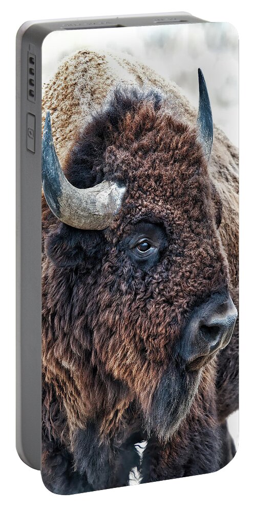 Olena Art Portable Battery Charger featuring the photograph In The Presence of Bison in Rocky Mountain Arsenal National Wildlife Refuge by OLena Art
