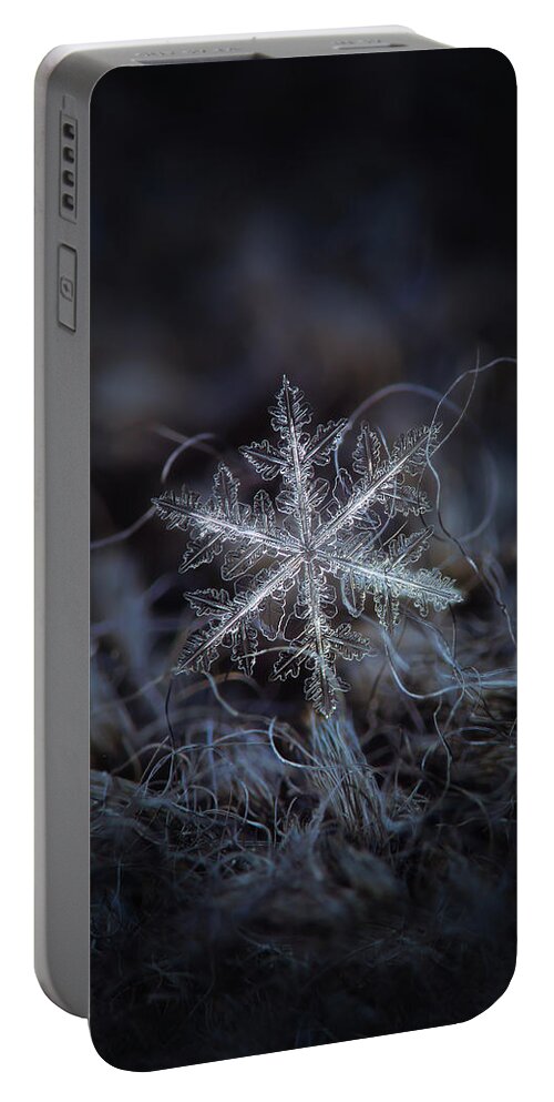 Snowflake Portable Battery Charger featuring the photograph Leaves of ice by Alexey Kljatov