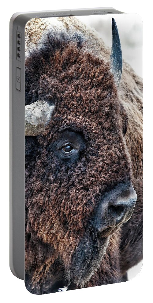 Lenaowens Portable Battery Charger featuring the photograph Bison the Mighty Beast by OLena Art
