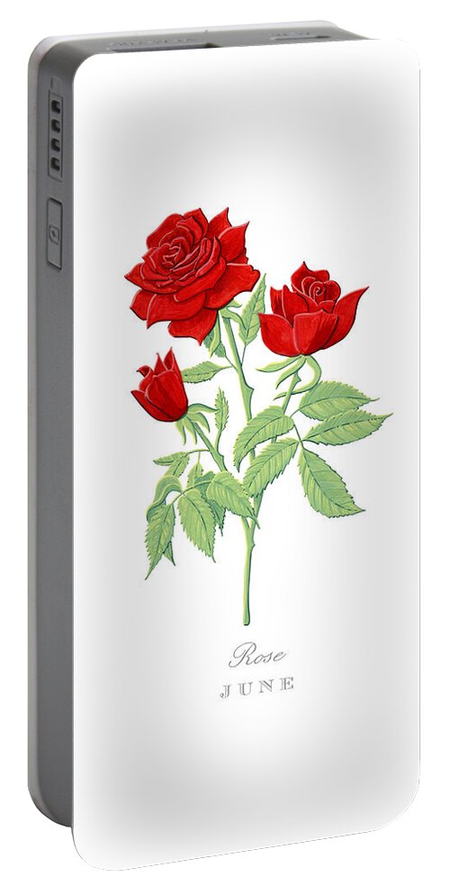 Rose Portable Battery Charger featuring the painting Rose June Birth Month Flower Botanical Print on White - Art by Jen Montgomery by Jen Montgomery