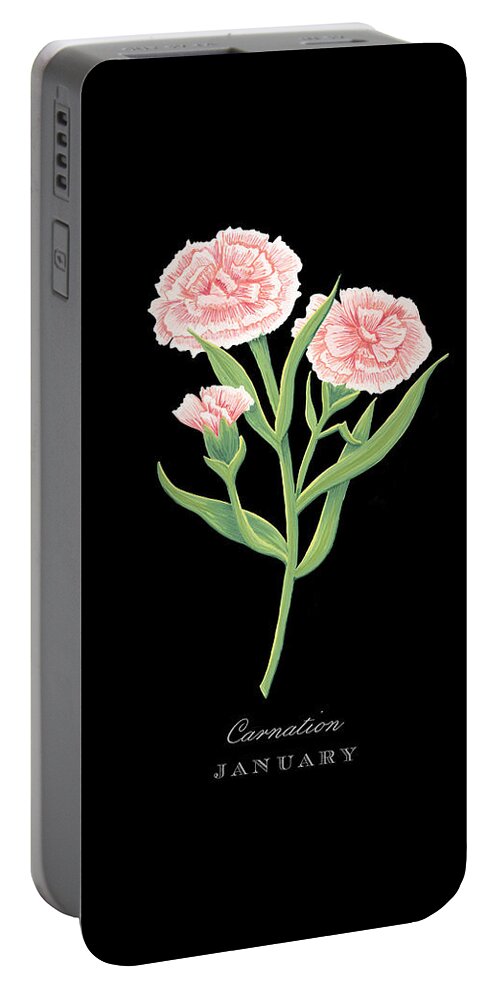 Carnation Portable Battery Charger featuring the painting Carnation January Birth Month Flower Botanical Print on Black - Art by Jen Montgomery by Jen Montgomery