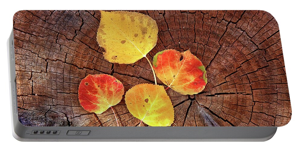 Colorado Portable Battery Charger featuring the photograph Aspen leaves on a log by Bob Falcone