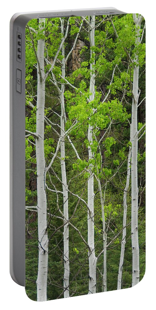 South Dakota Portable Battery Charger featuring the photograph Aspens by Larry Bohlin