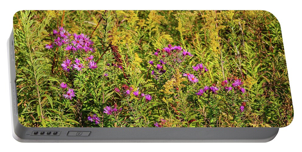 Aster Portable Battery Charger featuring the photograph Aster and Goldenrod by Christopher Reed