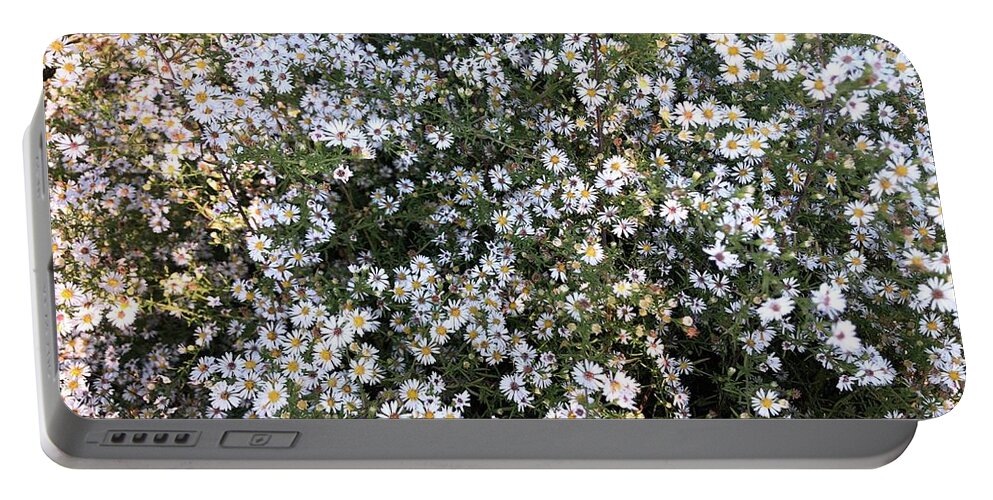 Asters Portable Battery Charger featuring the photograph Asters Wildflowers by Valerie Collins