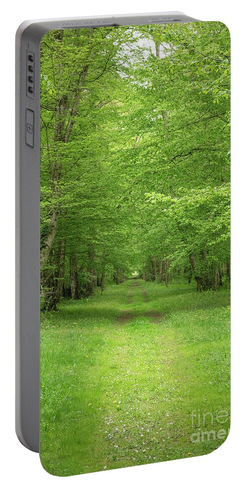 Nature Portable Battery Charger featuring the photograph At the End by Julia Hiebaum