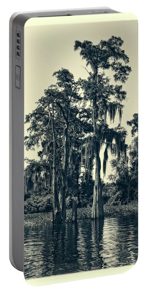 Tree Portable Battery Charger featuring the photograph Atchafalaya Basin Southern Louisiana 2021 Ambrotype 95 by Maggy Marsh