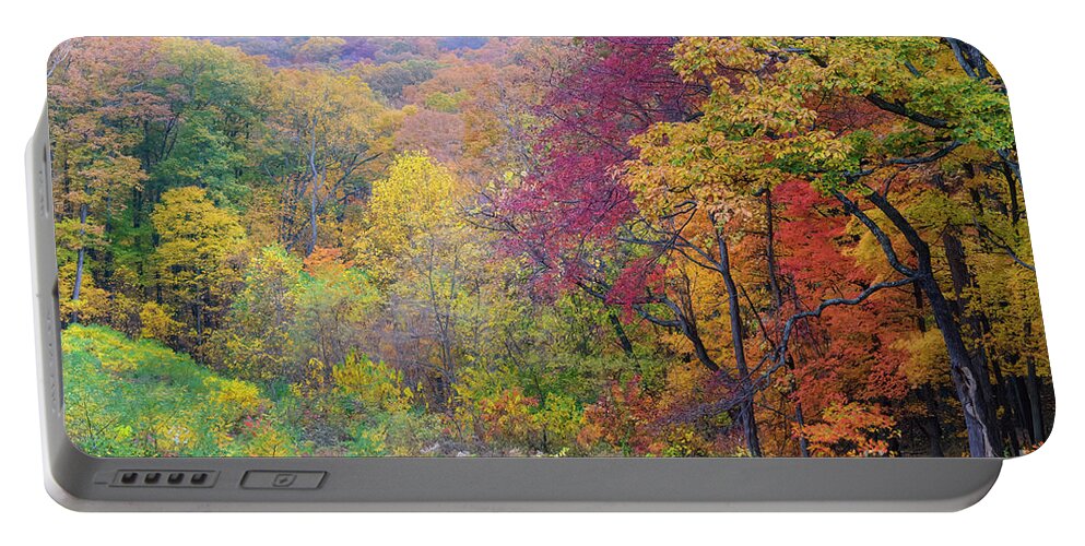 Brown Portable Battery Charger featuring the photograph Autumn Arrives in Brown County - D010020 by Daniel Dempster