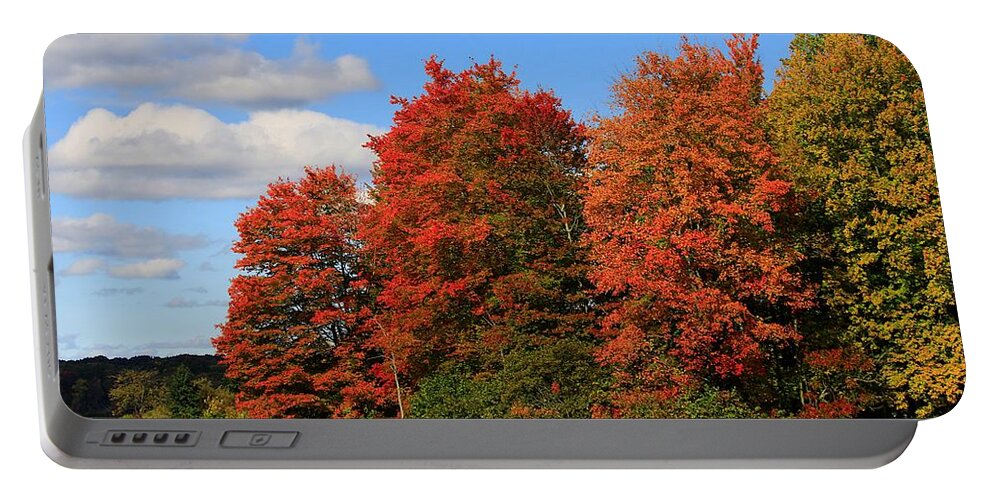 Fall Colors Portable Battery Charger featuring the photograph Autumn Beauty by Mary Walchuck
