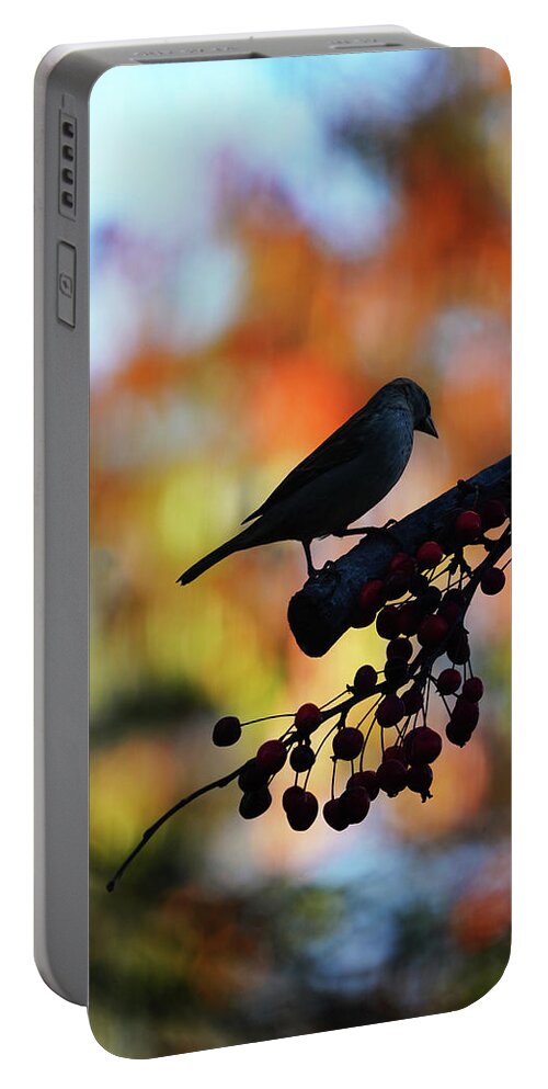 Silhouette Portable Battery Charger featuring the photograph Autumn Bird Silhouette by Dennis Cox Photo Explorer