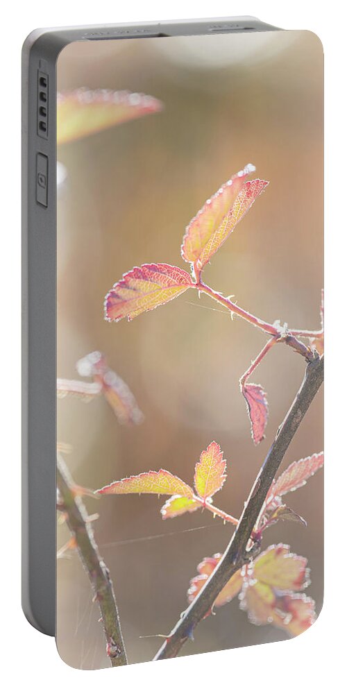 Bramble Portable Battery Charger featuring the photograph Autumn Bramble Leaves by Phil And Karen Rispin