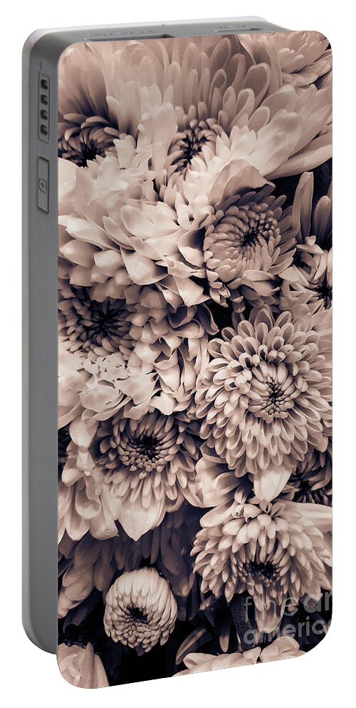 Flower Portable Battery Charger featuring the photograph Autumn Chrysanthemum by Fei A