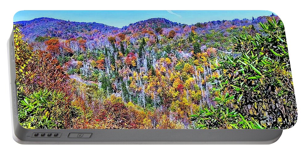 Autumn Portable Battery Charger featuring the photograph Autumn Colors by Allen Nice-Webb