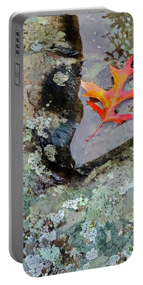 Autumn Portable Battery Charger featuring the photograph Autumn Colors by Sarah Lilja