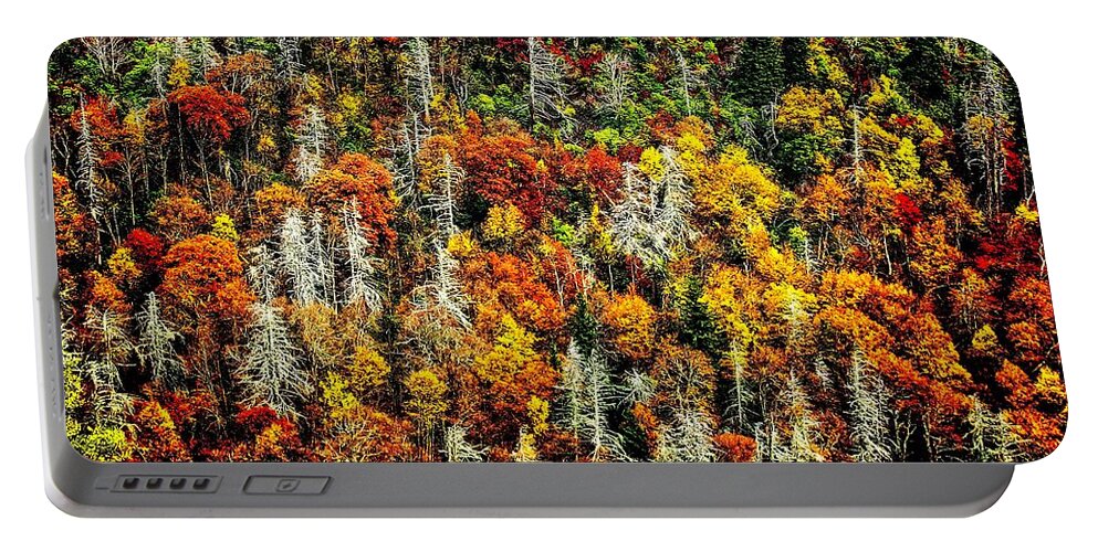 Autumn Portable Battery Charger featuring the photograph Autumn Diversity by Allen Nice-Webb