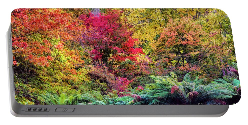 Seasonal Portable Battery Charger featuring the photograph Autumn by Elaine Teague