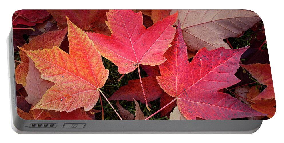 Nature Portable Battery Charger featuring the digital art Autumn / Fall leaves Painting by Rick Deacon