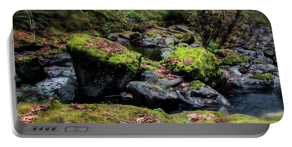 Oregon Waterfalls Portable Battery Charger featuring the photograph Autumn Fantasy Land 6- Sweet Creek Falls by Janie Johnson