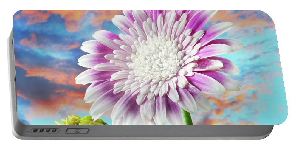 Gerbera Portable Battery Charger featuring the photograph Autumn Gerbera, by Terence Davis