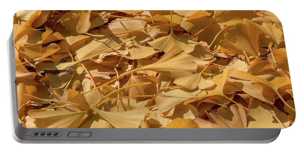 Ginkgo Portable Battery Charger featuring the photograph Autumn Ginkgo Leaves by Liza Eckardt