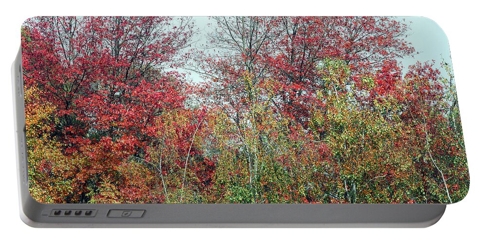 Autumn Portable Battery Charger featuring the photograph Autumn Glory by Elaine Teague
