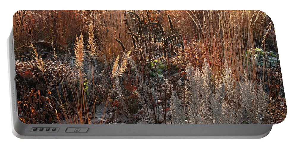 Jenny Rainbow Fine Art Photography Portable Battery Charger featuring the photograph Autumn Grass Mixed Border 1 by Jenny Rainbow