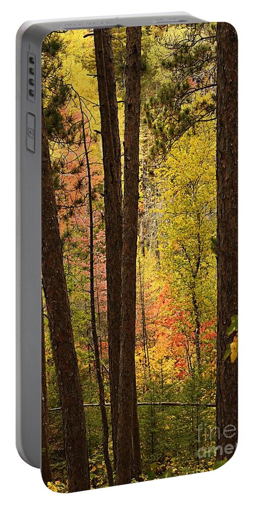 Landscape Portable Battery Charger featuring the photograph Autumn in Hiding by Larry Ricker