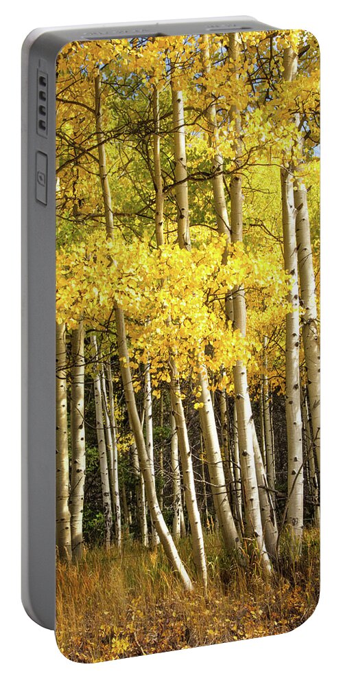 Enchanted Circle New Mexico Portable Battery Charger featuring the photograph Autumn in New Mexico by Rebecca Herranen
