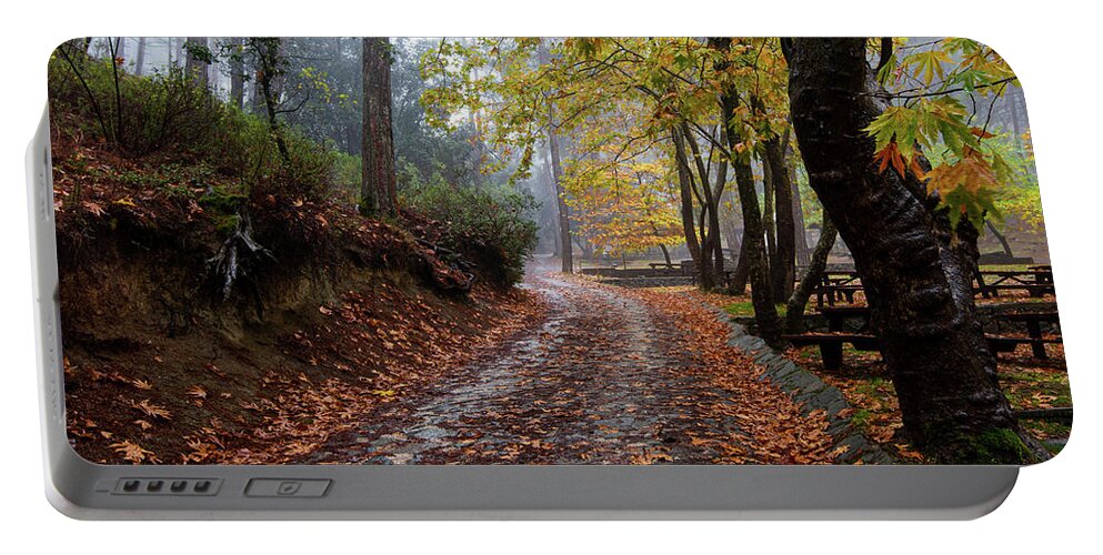 Autumn Portable Battery Charger featuring the photograph Autumn landscape with trees and Autumn leaves on the ground after rain by Michalakis Ppalis